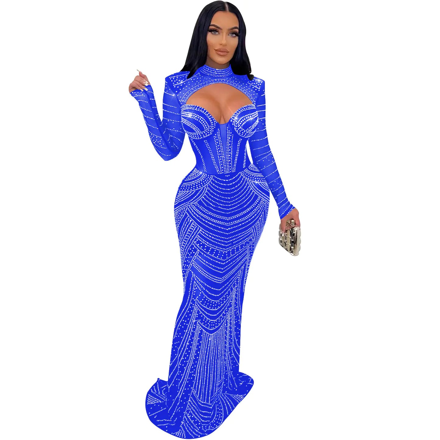 Ladies' Mesh Long Sleeve Dress