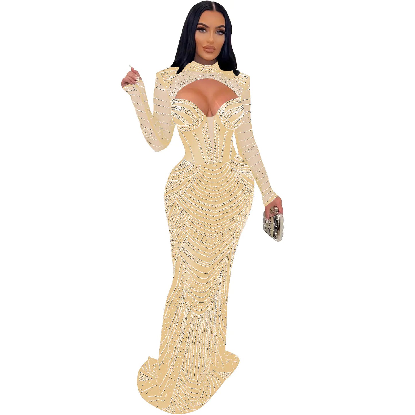 Ladies' Mesh Long Sleeve Dress