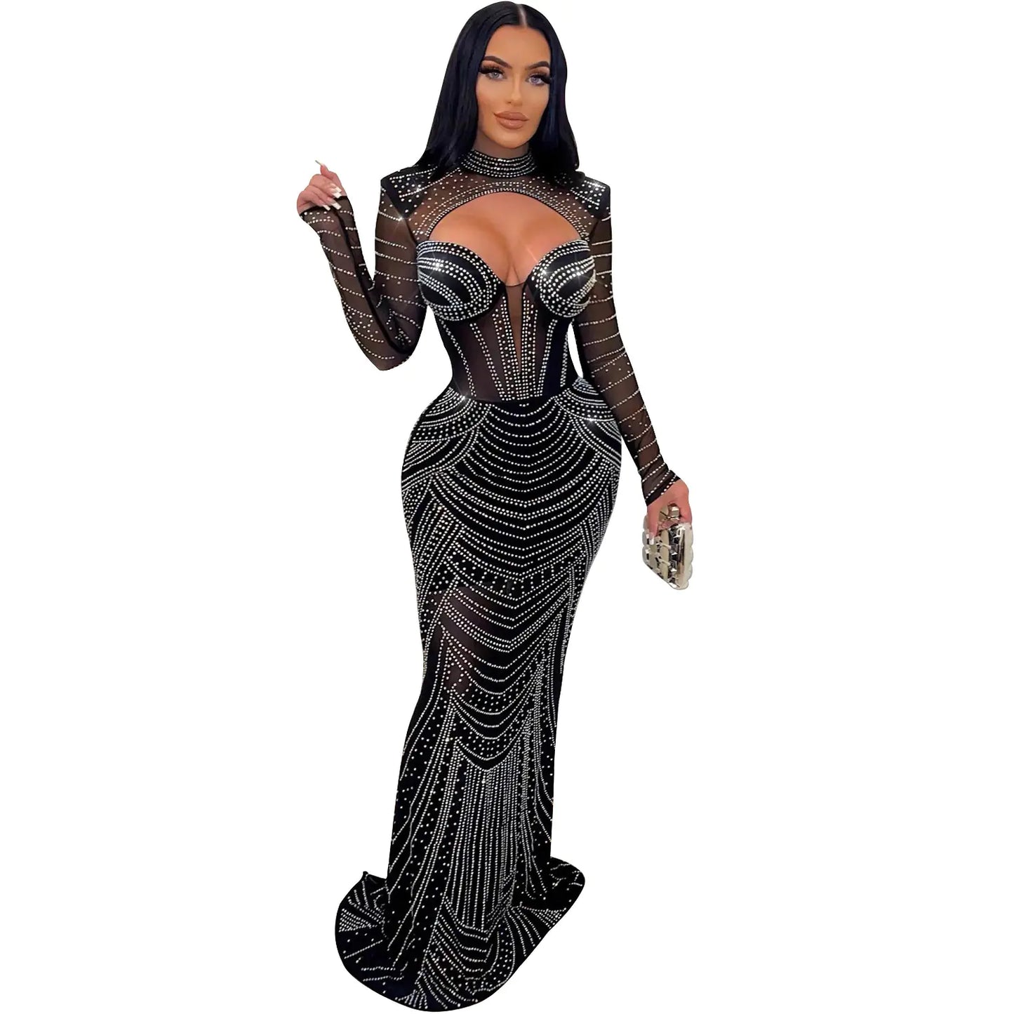 Ladies' Mesh Long Sleeve Dress